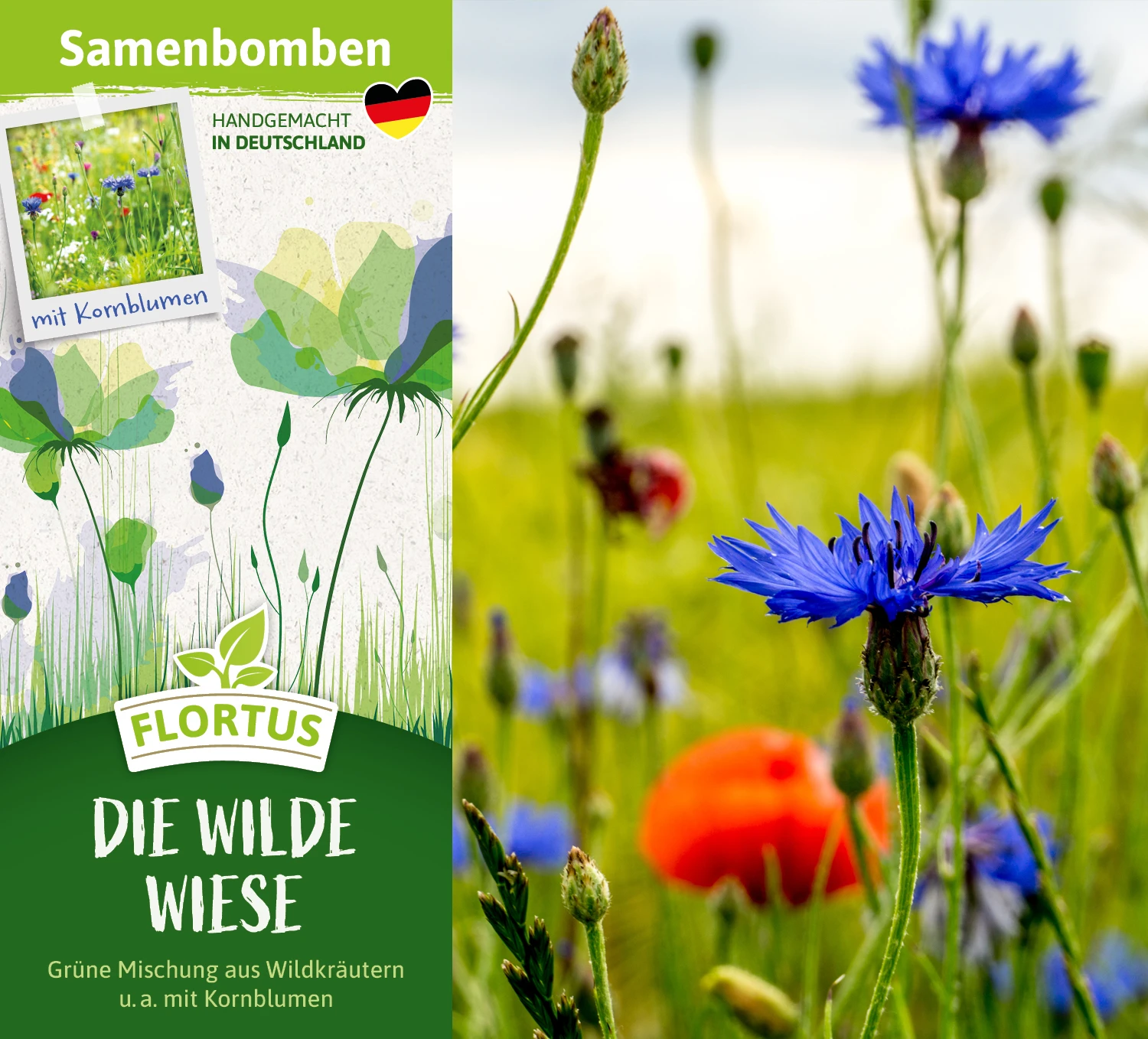 Samenbomben Die Wilde Wiese (6 Stück) | Wildblumenwiese Von FLORTUS – Bild 5
